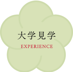 大学見学